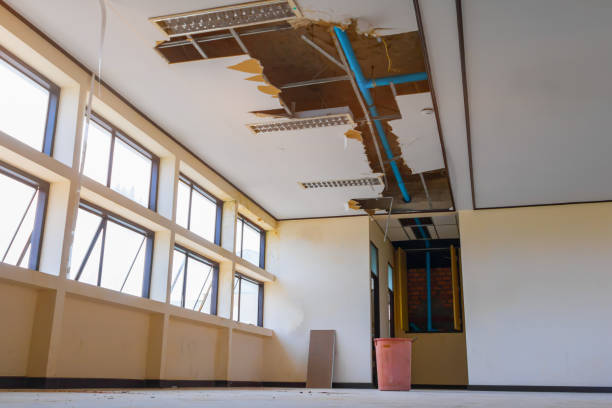 Best Water damage restoration mold remediation  in Fort Polk South, LA