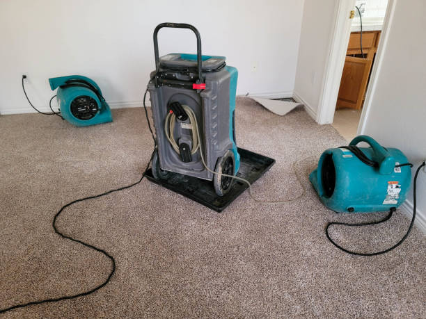 Best Residential water damage restoration  in Fort Polk South, LA