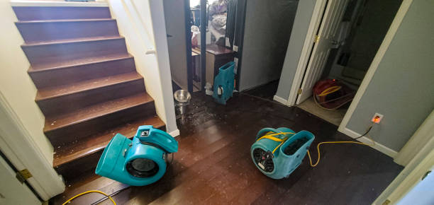 Best Commercial water damage restoration  in Fort Polk South, LA