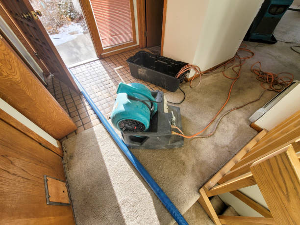Best Sewage cleanup and water damage restoration  in Fort Polk South, LA