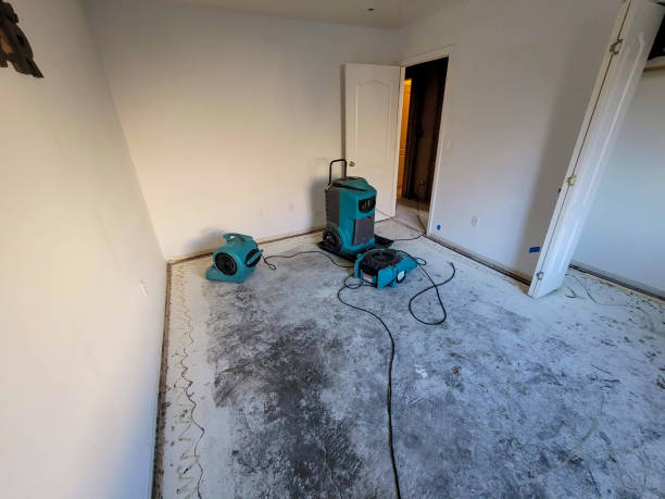 Sewage cleanup and water damage restoration in LA
