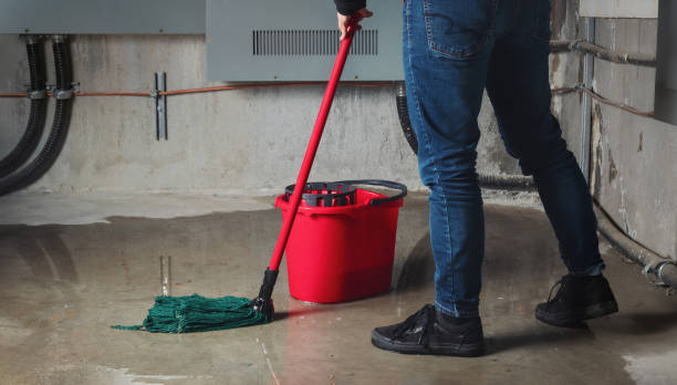 Best Water damage contractors near me  in Fort Polk South, LA
