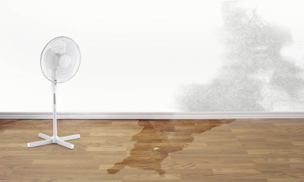 Best Emergency water damage restoration  in Fort Polk South, LA