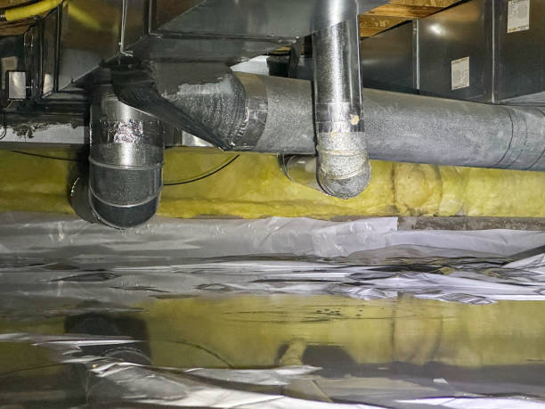 Best Water damage restoration specialists  in Fort Polk South, LA