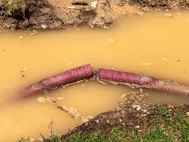 24/7 water damage repair in LA