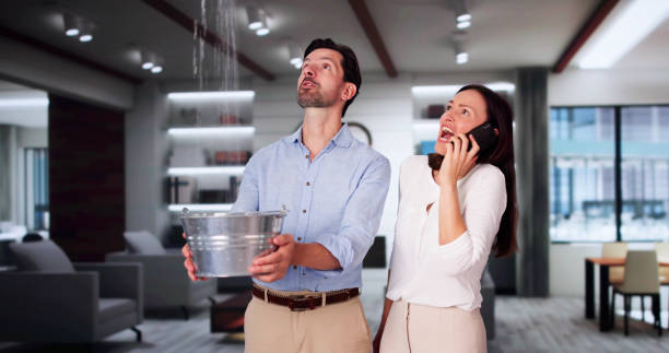Best Professional water damage repair  in Fort Polk South, LA
