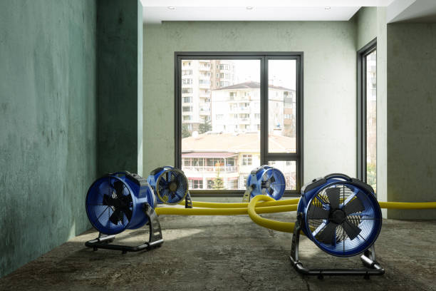 Best Water damage restoration near me  in Fort Polk South, LA
